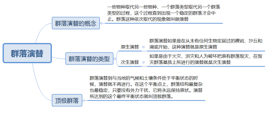 高中生物《群落演替》易考点总结